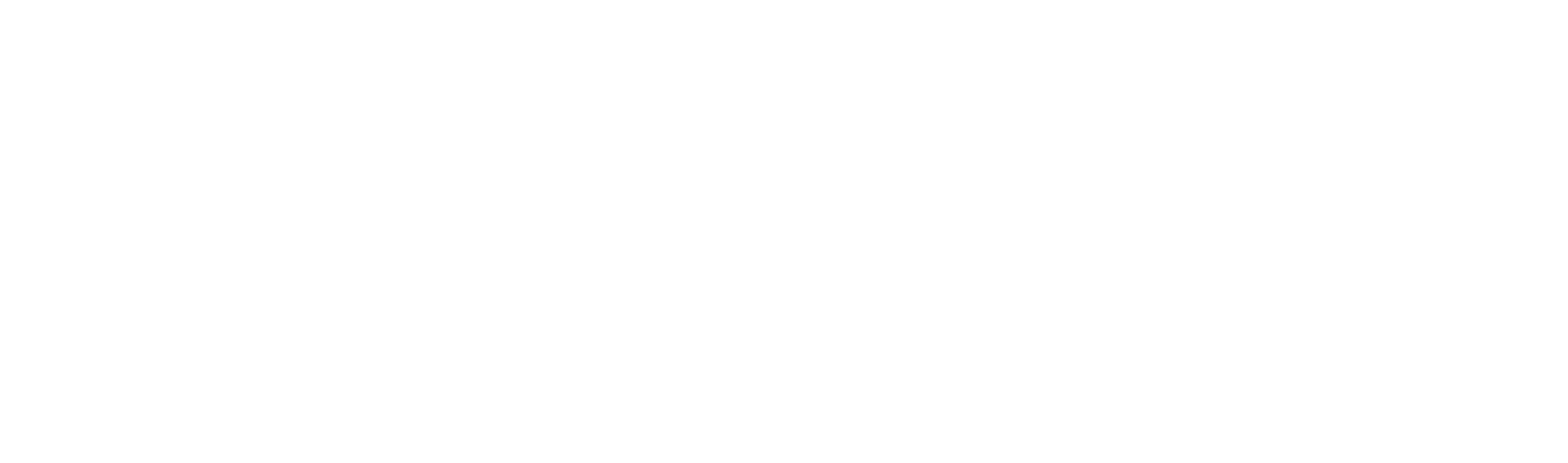 SplitGO Logo